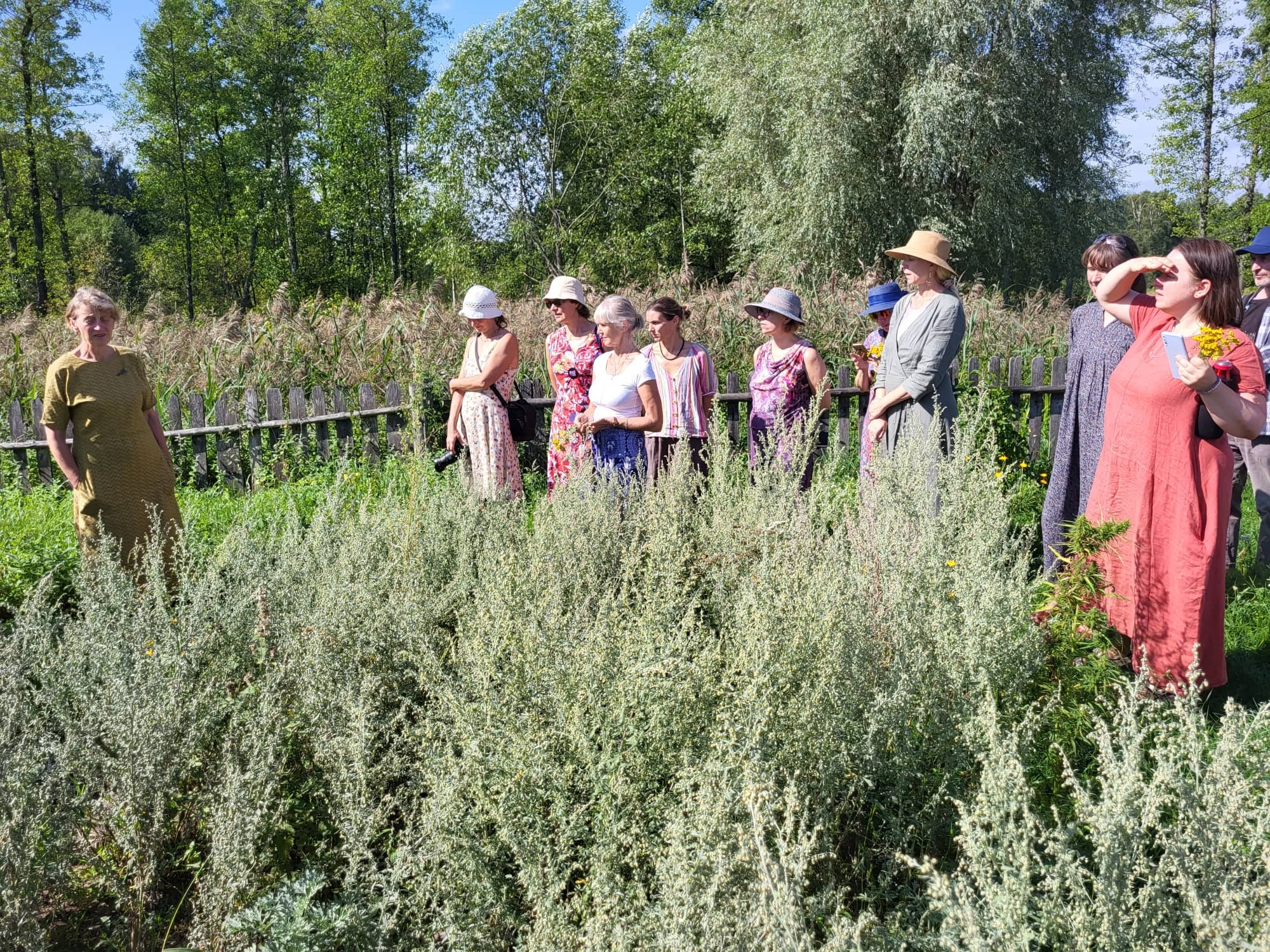 Kviečiame į "Džiaugsmo dieną pagal šv. Hildegardą"